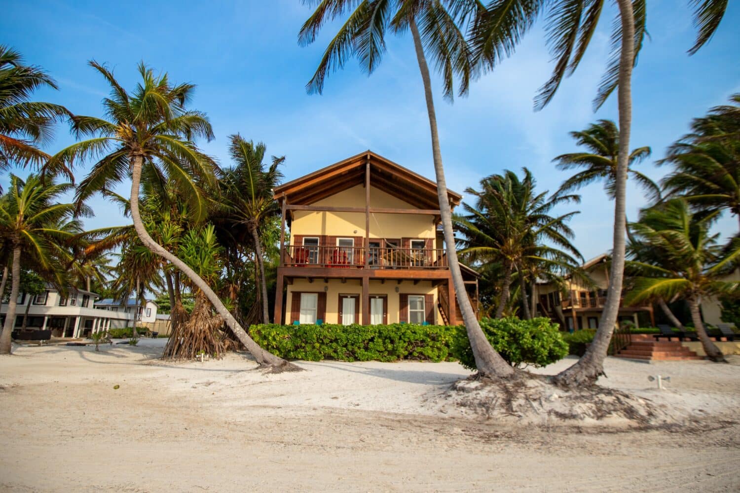 Tropical beachfront villa surrounded by palm trees, perfect for a relaxing getaway.
