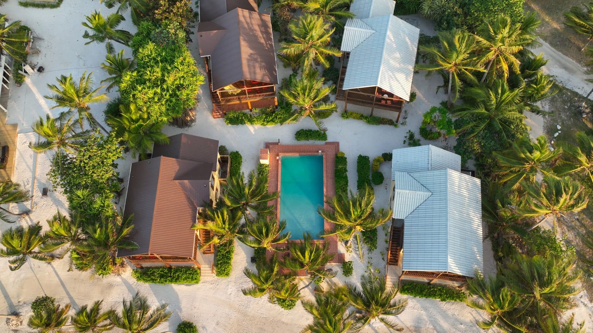 Serene tropical retreat featuring a refreshing pool and lush palm trees.