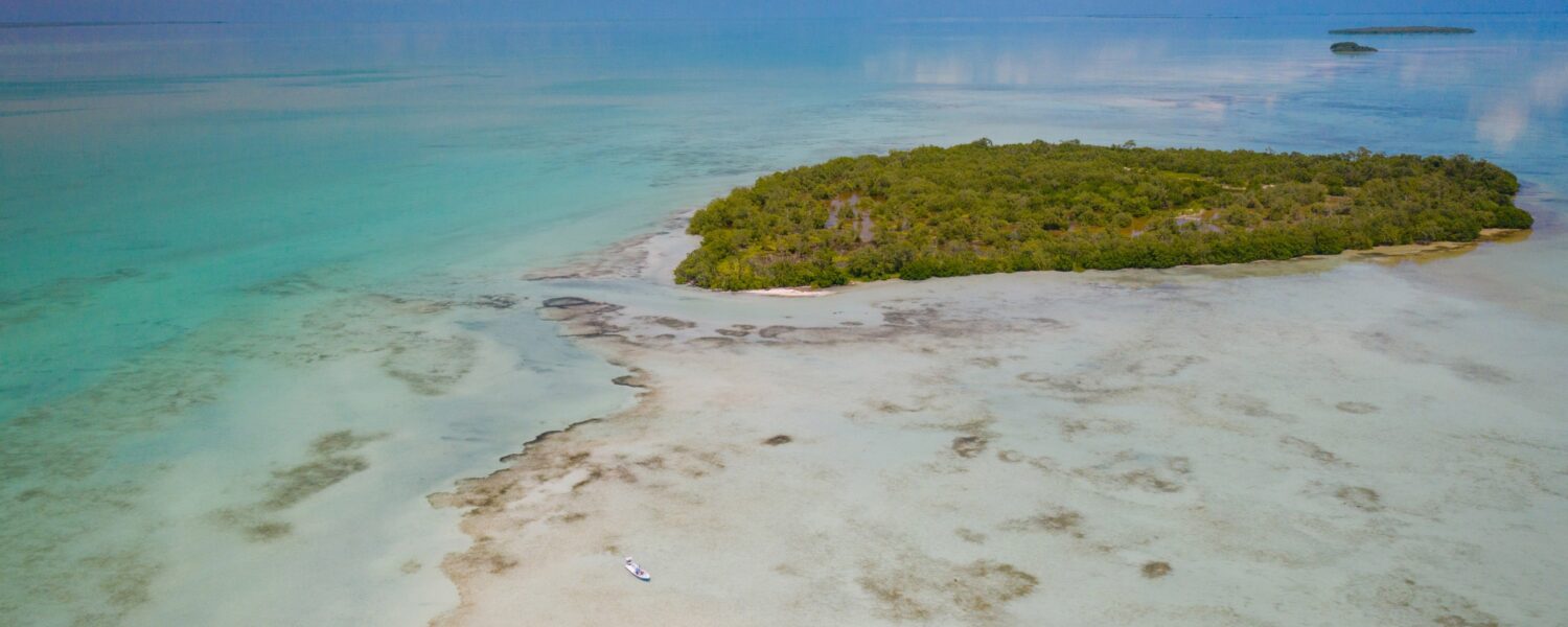 Tropical island oasis with clear blue waters and lush green vegetation.