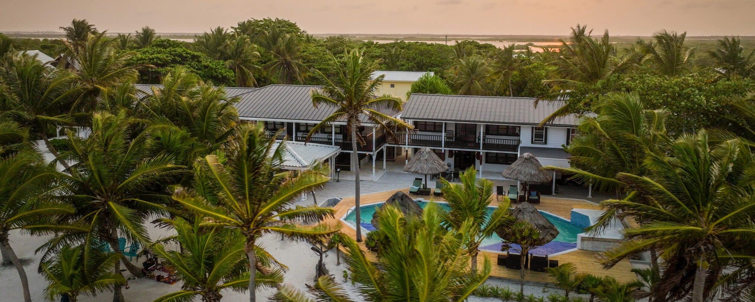 Tropical resort oasis surrounded by palm trees at sunset. Relaxation awaits!