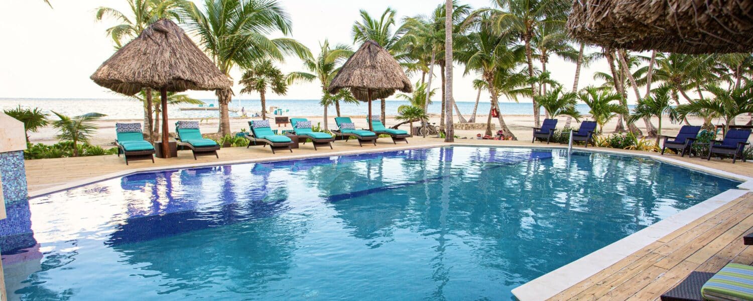 Relax by the shimmering pool with palm trees in this tropical paradise retreat.