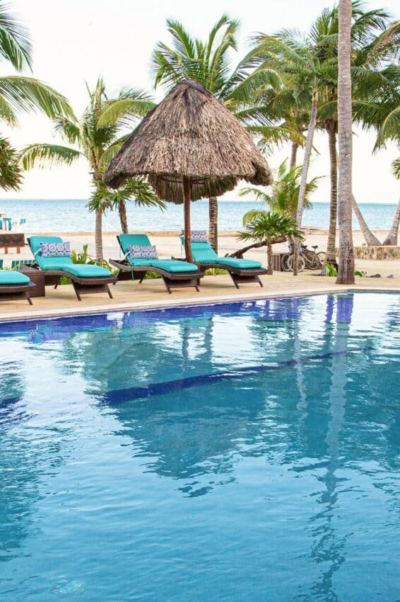 Relax by the shimmering pool with palm trees in this tropical paradise retreat.