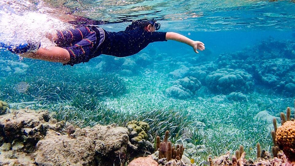 Snorkeling in Ambergris Caye