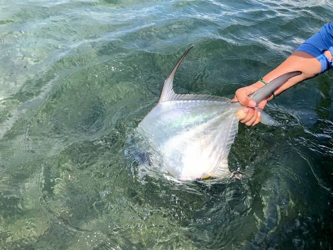 Fishing Enthusiast Holding Caught Fish