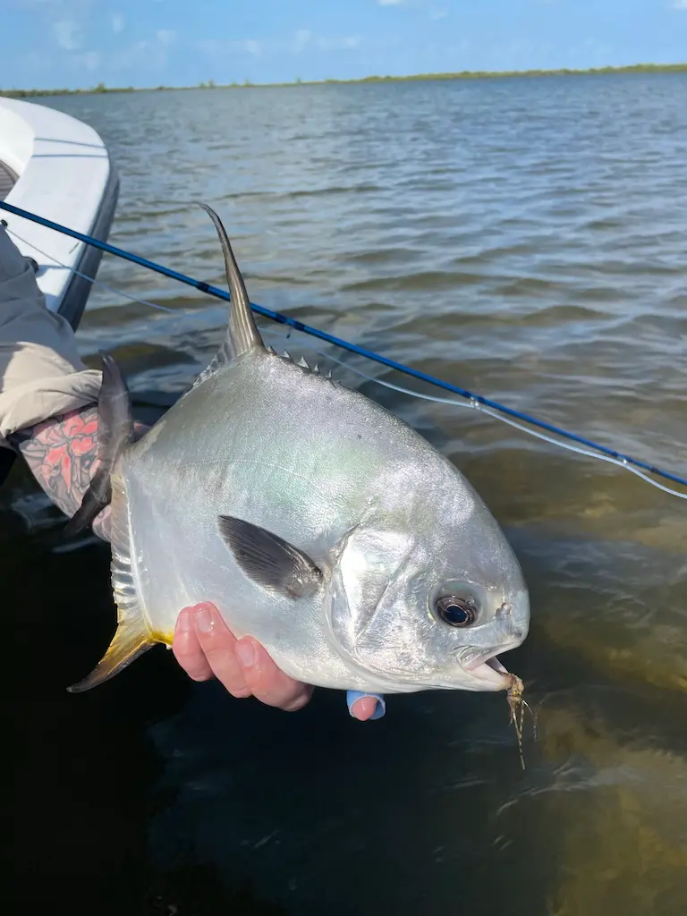 Angler proudly holds a stunning fish caught in crystal-clear water.