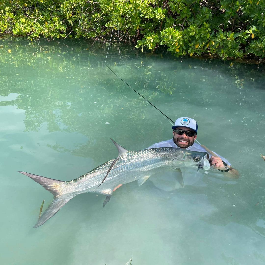 Angler proudly holds a massive tarpon in clear water surrounded by lush greenery.