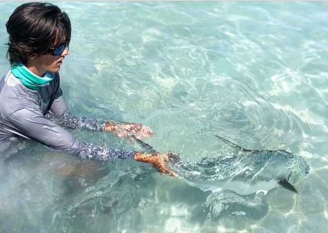 Engaging with marine life in clear waters for a unique aquatic experience.