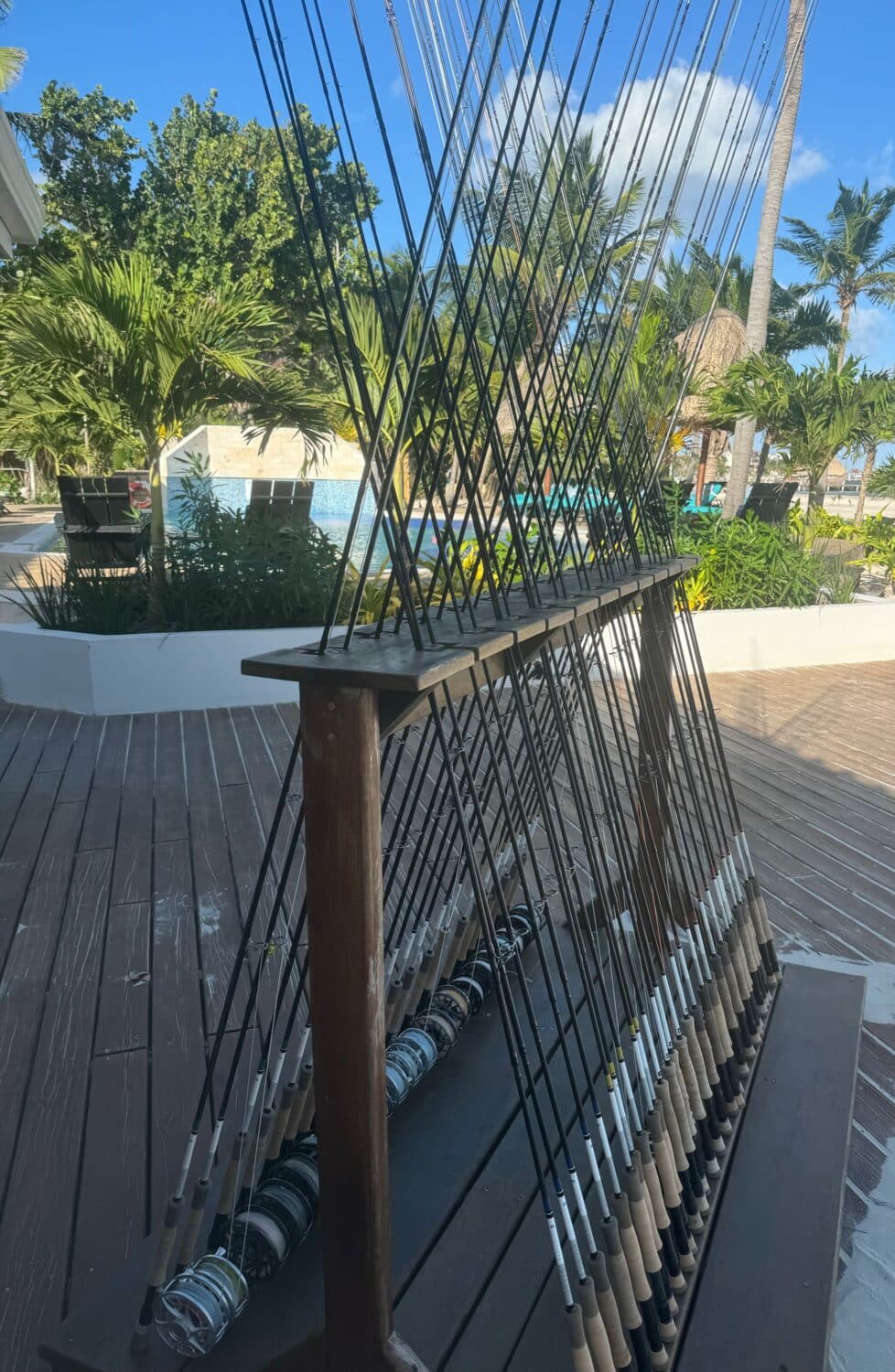 Orvis Helios 4 fishing rods displayed outdoors, perfect for anglers seeking quality gear.