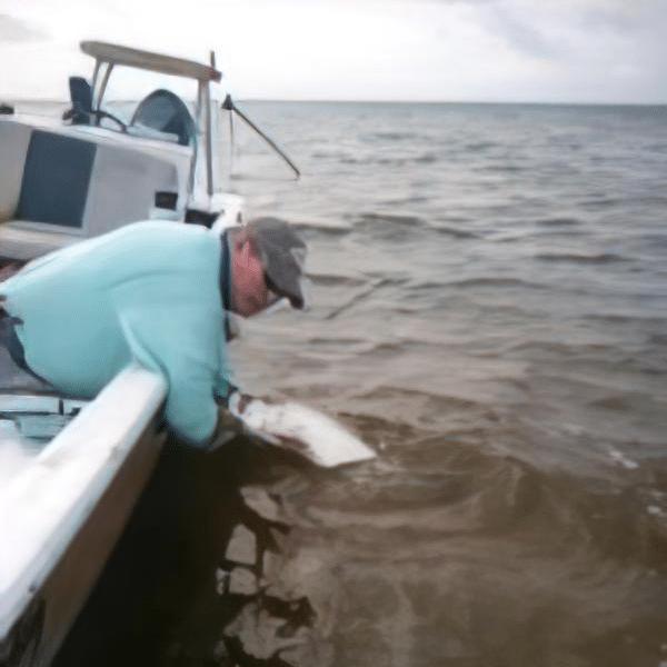 Releasing fish to promote sustainable fishing practices for healthy ecosystems.