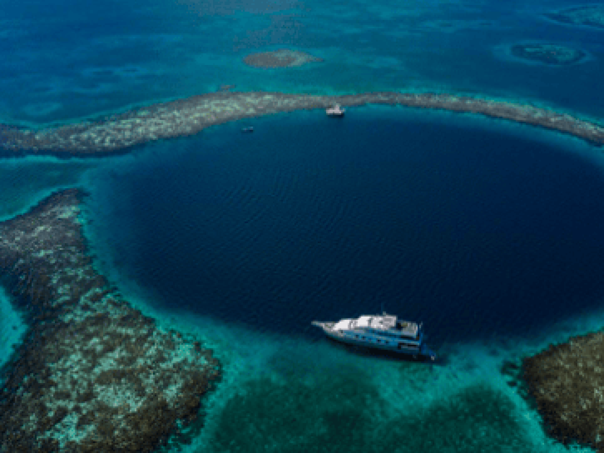 その他 Belize -  of the Famous Blue Hole [DVD] Belize - Home of the Famous Blue Hole [DVD] 【公式通販】