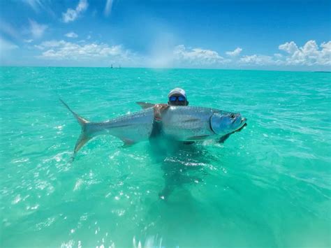 How El Pescador’s World-Class Fly Fishing Makes Every Cast Unforgettable