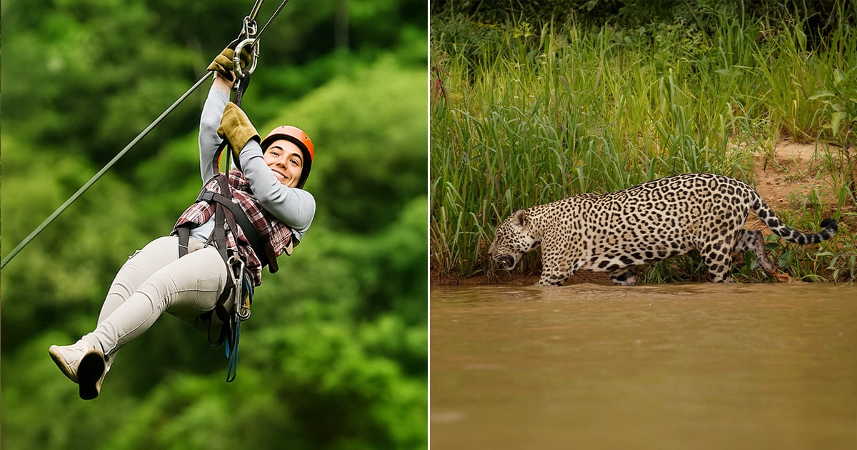 Zipline and Belize Zoo Adventure Tour