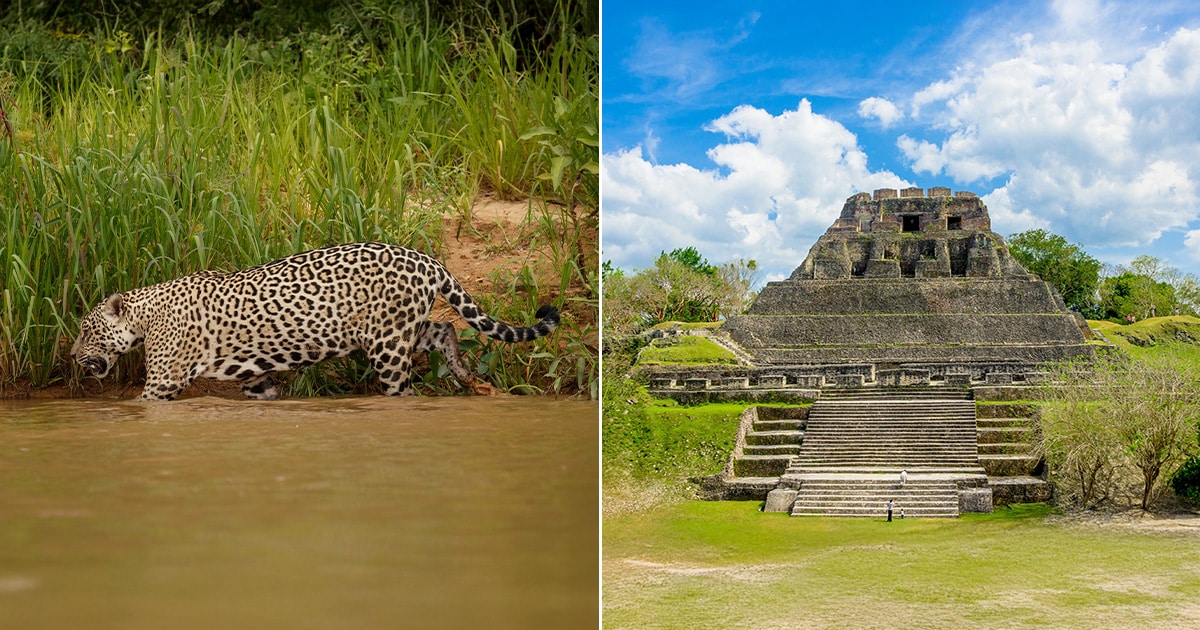 Zoo and Xunantunich Mayan Ruin Adventure Tour